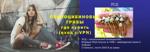 мяу мяу кристалл Ельня