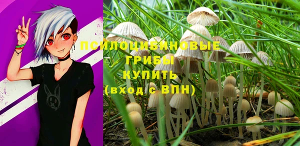 сатива Елизово