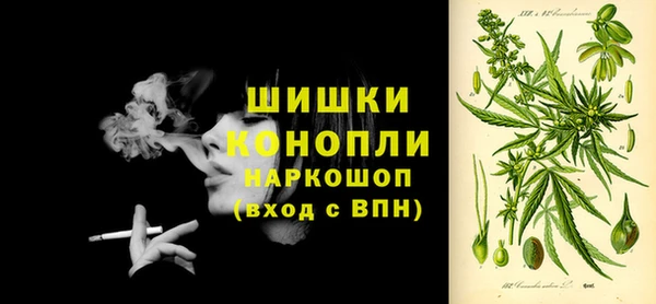 сатива Елизово