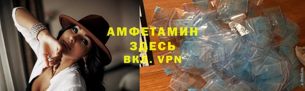 ГАЛЛЮЦИНОГЕННЫЕ ГРИБЫ Елабуга