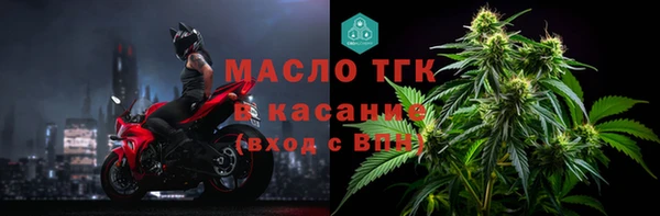 ГАЛЛЮЦИНОГЕННЫЕ ГРИБЫ Елабуга