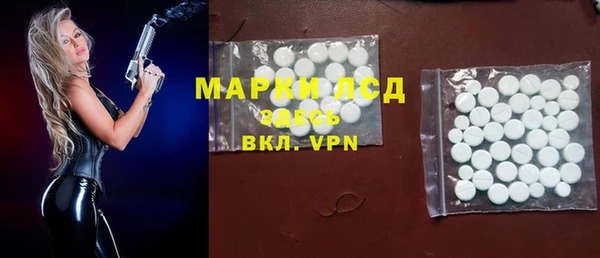ГАЛЛЮЦИНОГЕННЫЕ ГРИБЫ Елабуга
