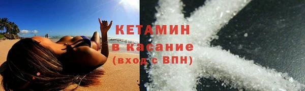 сатива Елизово