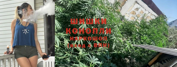 ГАЛЛЮЦИНОГЕННЫЕ ГРИБЫ Елабуга