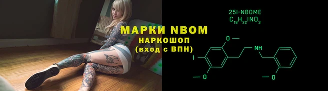 сатива Елизово