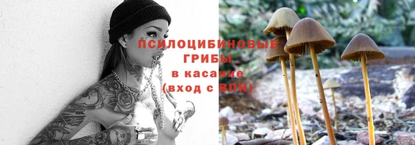 ГАЛЛЮЦИНОГЕННЫЕ ГРИБЫ Елабуга
