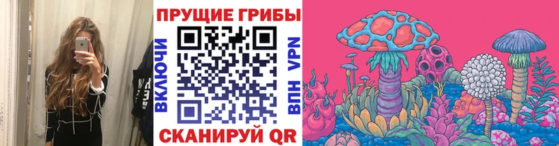 Купить  Киржач  Псилоцибиновые грибы мицелий 